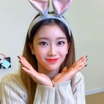 토끼상 아이돌 적고가보자