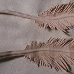 가죽 공예-깃털 <b>카빙</b>