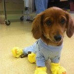 읏추! 집에서도 필수인 <b>따듯</b>한 옷