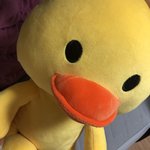 [드루와] 이 인형 쎄하게 생김...?