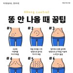 ㅈㄴ아무도 안궁금한데 <b>항문</b> 초음파 후기