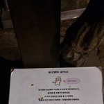 [댓글부탁해] 냥줍이 대세