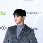 [모두드루와] 오늘자 차은우 <b>AAA</b> 레드카펫 기사사진