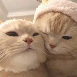 [ㅈㄱㄴ] 나랑 연락하는 남자애랑 둘다 <b>isfp</b>인데