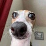 알바 면접<b>복장</b> 이거 ㄱㅊ?