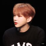[강다니엘] 강다니엘 가요대축제 라인업 떴다!!