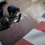 [방탈죄송] 화분훔쳑서 잘살고있니?