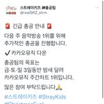 [스키즈] 카카오뮤직 다운 총공, 카뮤 헬퍼 모집, 추가 모금