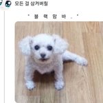 [댓글부탁해] 심심할 때 하면 좋은 것들 리스트!