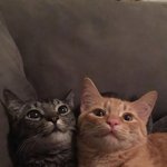 아니 내가 <b>맏이</b>인데