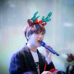 해찬드림쇼