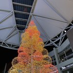 [드루와] 재수하면서 내 가슴에 새긴<b>말들</b> + 수험생 멘탈관리