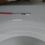 임신 <b>인가요</b>?