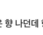 <b>에스</b>크 질문오면 기분좋은거 top1