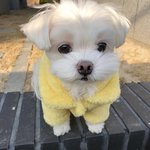 [댓글부탁해] 중3인데 2021 고1 6모 3등급뜬다….