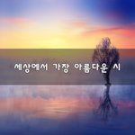 [너가봤으면] 세상에서 가장 아름다운 시~