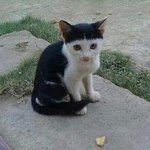 배송<b>완료</b> 떴는데 택배가 없어