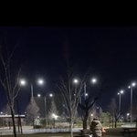 [그냥빡쳐서] 강아지 <b>산책</b>시 목줄 좀 제발부탁드려요