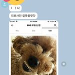 [댓글부탁해] 애들아 2d 3d가
