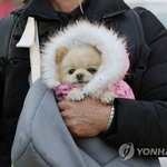 얘들아 미안한디 미노이가 ㄴㄱ야