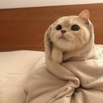 [NCT드림] <b>완전</b> 이거잖아 ㅜㅜ