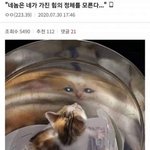 [댓글부탁해] <b>장거리</b>연애 원래 일케 ㅈ같냐 다똑같음?