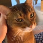 춘향전에서 어사또가 <b>이몽룡</b>임?