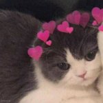 [댓글부탁해] 나 단발 할까말까 ㅠㅠ