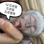 친구가 나한테 소소한걸로 연락하는거