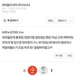 [댓글부탁해] 판녀들 청개구리임?