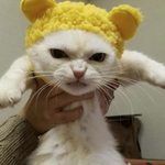 [모두드루와] 소속사중에 제왑은 진짜 <b>정이</b>안가