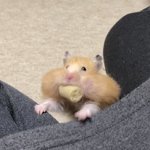 [NCT드림] 지동아 머먹어..