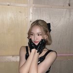 [모두드루와] 아기 다람쥐 라잇썸 휘<b>연이</b> 사진 모음