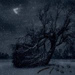 [드루와] 기사뜬지 19일째, EDAM은 고소를 못하고 있음.