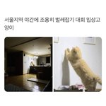 [댓글부탁해] 남자들한테 인기많은 얼굴이 따로 있음?