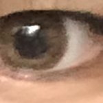 나 <b>개눈</b> 같아?