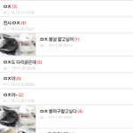 [댓글부탁해] 이동네 <b>도라</b>이