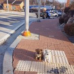 올해도 <b>솔</b><b>크</b>각임 미친