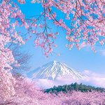 신비롭고 경이로운 <b>대자연</b>의 위엄