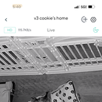 내 강아지 맞춰바 ㅋㅋㅋ