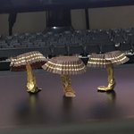 [NCT드림] 페레러러쉐<b>버섯</b> 어떰