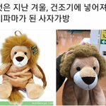 [댓글부탁해] 입시 끝난 고3들아 들어와봐<b>바바</b>!!!!