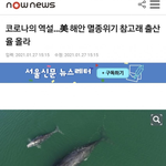 [드루와] 코로나가 그저 좋은 <b>동물</b>들