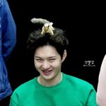 [BTOB] 새로운 <b>투이</b>짤 짤줍했어