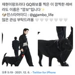[NCT칠프] 쟤혅이랑 같이 <b>프라다</b> 촬영한 강아지