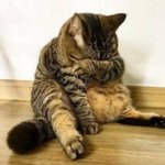 ㅜ