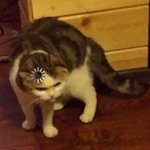 [댓글부탁해] 너네 폰 아이폰 vs <b>삼성</b> 추반 해보자