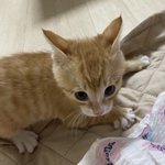 나 큰<b>일남</b>