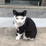 성형 너무 하고싶었는데