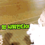 [아스트로] 맏형라인 엠제이 진진 차은우 <b>케미</b> 쩔엉